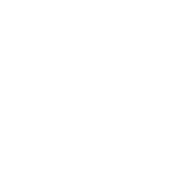 ستلايت فايندر